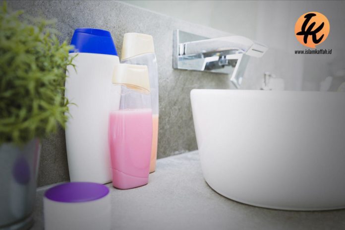 Beginn Der Intensiven Studien Tripod