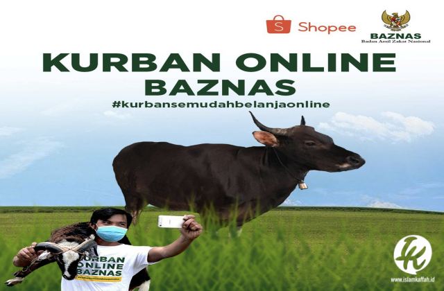 kurban online