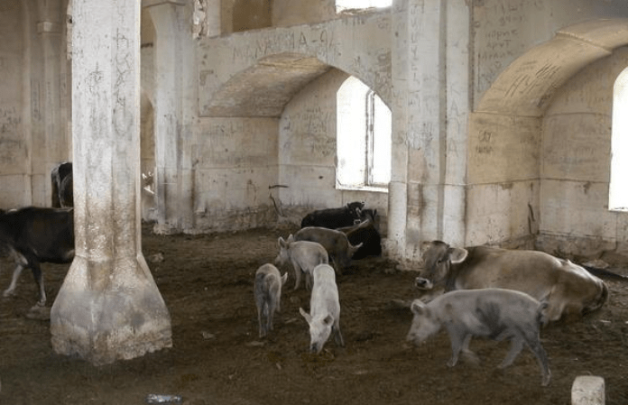 Masjid Aqdam dijadikan kandang babi