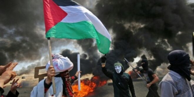 Demo Palestina