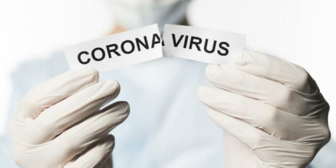 virus corona 200525220824 159