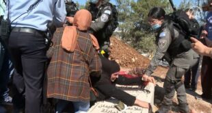 seorang wanita palestina terlihat melawan polisi israel yang mencoba