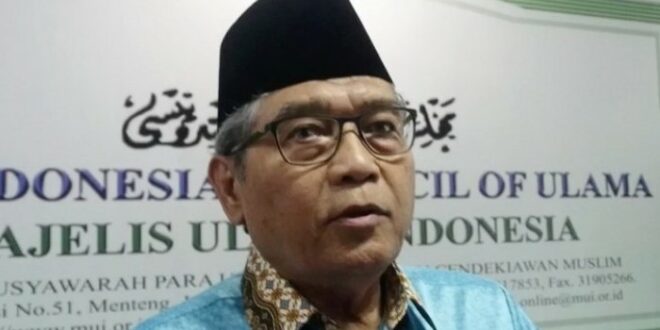 Ketua Komisi Fatwa MUI Prof Hasanudin AF