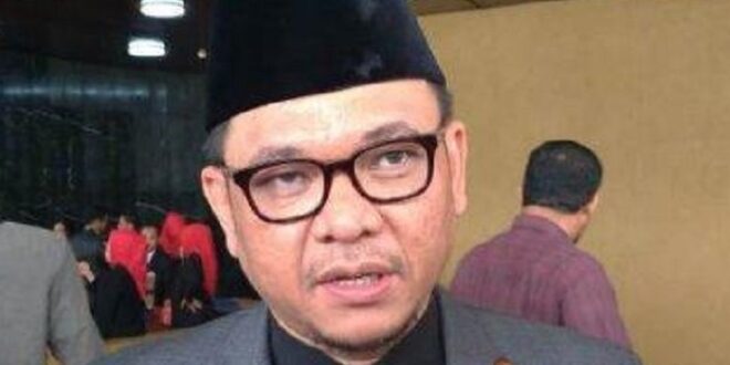 Ace Hasan Syadzily