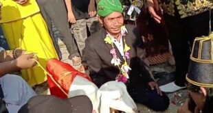 Pria nikahi kambing viral