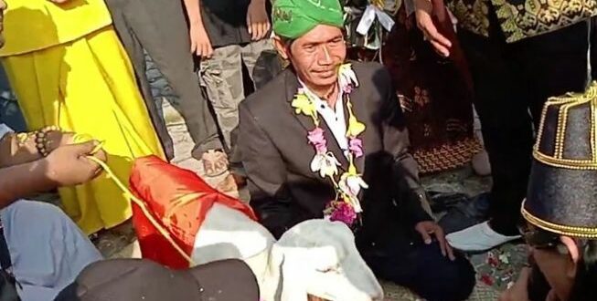 Pria nikahi kambing viral