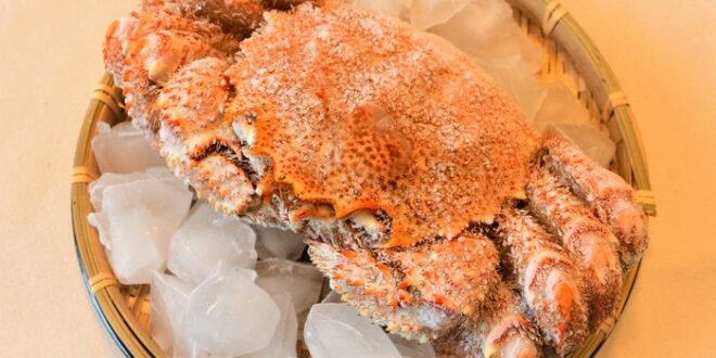 fakta crab stick olahan seafood yang tidak mengandung kepiting