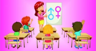 pendidikan seks