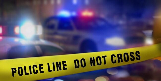 5cf965a3 c769 46ef a4b8 ca0c095cfd58 169