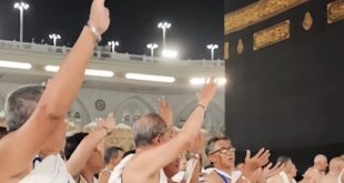 Haji Furoda copy