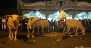 suasana kirab malam 1 suro di keraton solo sabtu 29102022 1 169